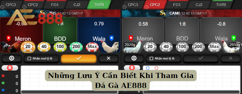Những Lưu Ý Khi Tham Gia Đá Gà AE888 