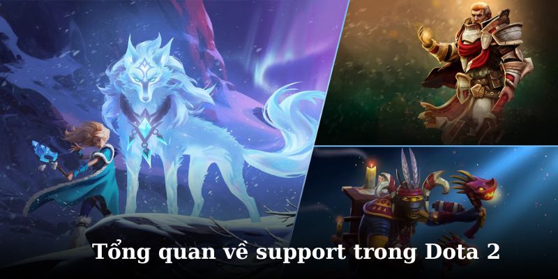 Tìm hiểu chi tiết về support trong dota 2