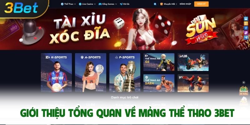 Giới Thiệu Tổng Quan Về Mảng Thể Thao 3bet