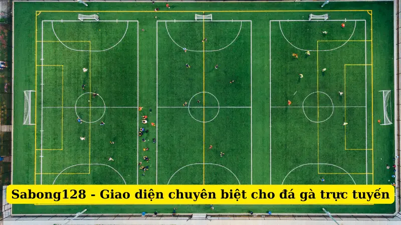 Sabong128 - Giao diện chuyên biệt cho đá gà trực tuyến